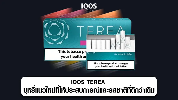 iqos terea