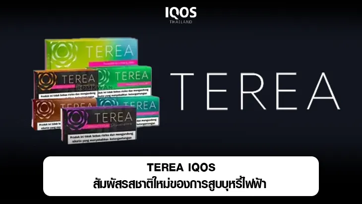 terea iqos
