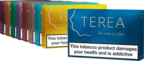 iqos terea
