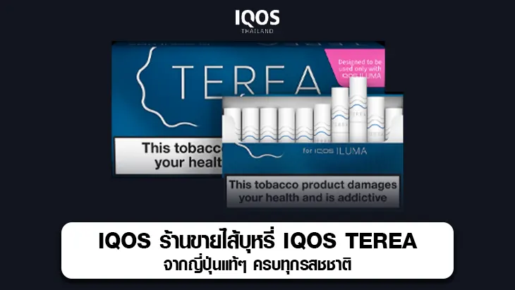 iqos terea