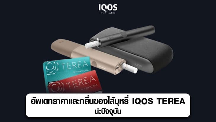 อัพเดทราคาและกลิ่นของไส้บุหรี่ iqos terea